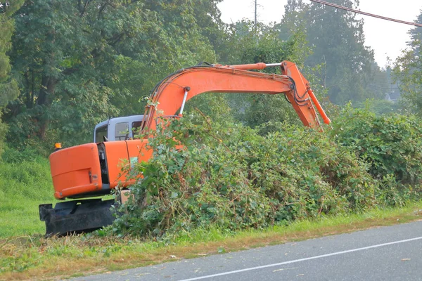 それは道路の横にある野生植物をオフ動作するよう 植生カッター装備産業シャベルの広い視野 — ストック写真