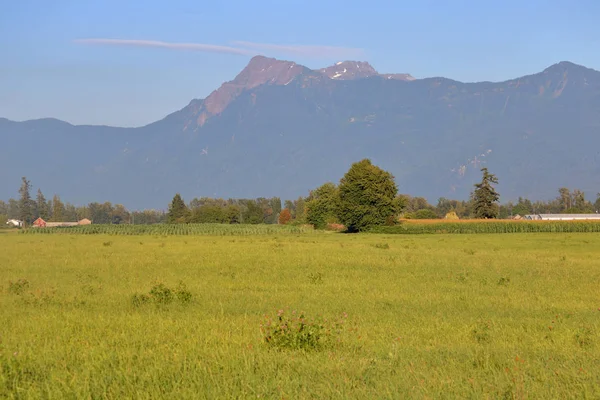 チリワック ブリティッシュ コロンビア州の農村の農業と農業土地は周囲の山々 に囲まれている都市の近くの開けた風景 — ストック写真