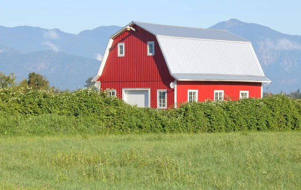 Vista Panoramica Bellissimo Fienile Rosso Accanto Campo Erba Verde Lussureggiante — Foto Stock