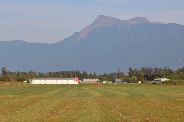 Distinctive Outline Southwestern British Columbia Cheam Peak Agricultural Land Foot — Stock Photo, Image