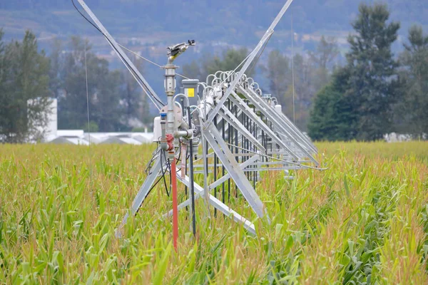 Das Metallgerüst Zur Einrichtung Eines Hochdruck Bewässerungssystems Zur Bewässerung Großer — Stockfoto