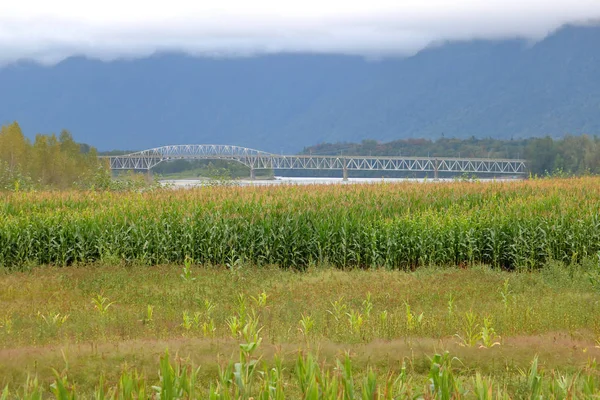 Surplombant Les Champs Agricoles Jusqu Pont Agassiz Une Structure Traditionnelle — Photo