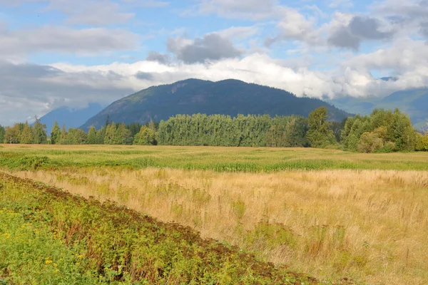 Wijd Open Landschap Uitzicht Vallei Landbouwgrond Noord Fraser River Mountains — Stockfoto