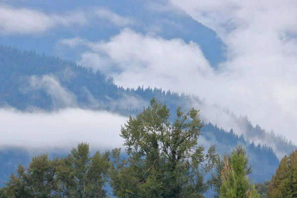 景観の厚く森林に覆われた白秋霧のクラスターに覆われた山々 — ストック写真