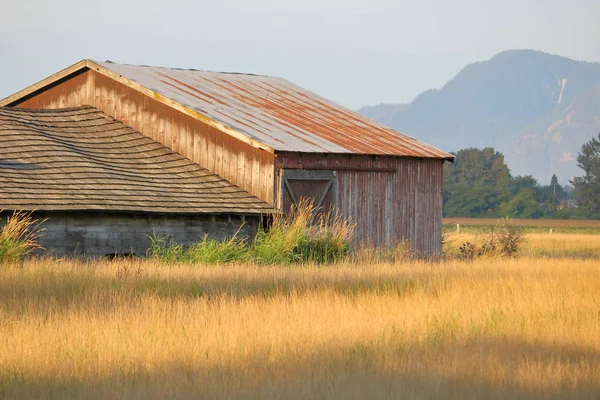 Campo Feno Dourado Rodeia Antigos Edifícios Rurais Durante Meses Outono — Fotografia de Stock