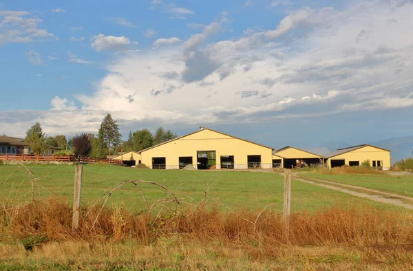 Una Amplia Vista Abierta Moderno Granero Amarillo Edificios Entorno Rural —  Fotos de Stock