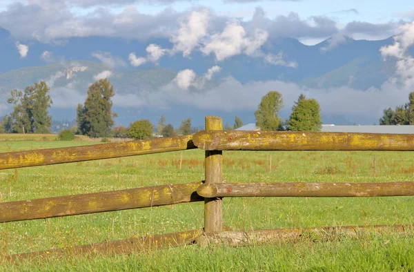 Close Detailed View Wooden Post Fence Set Rural Area — Stock Photo, Image