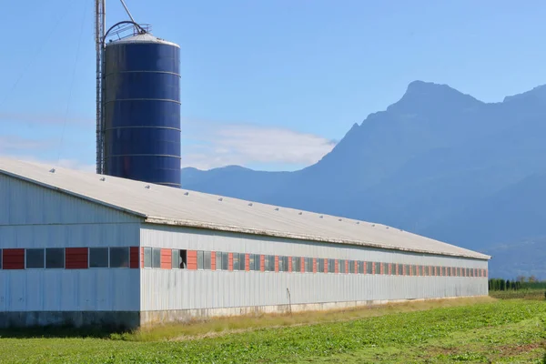 Close Detailed Look Modern Well Established Livestock Building Silo Valley — Stock Photo, Image