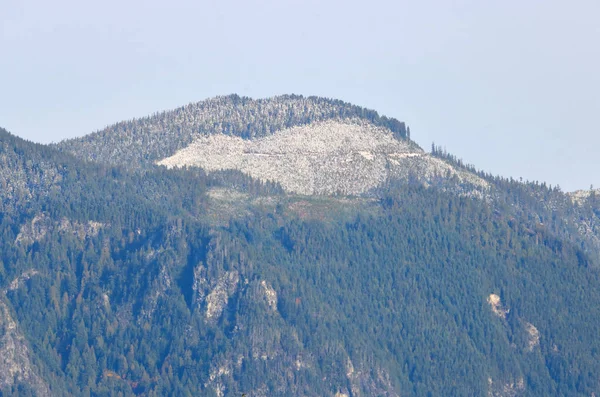 Kahlschlag Auf Einem Schneebedeckten Berggipfel Pazifischen Nordwesten Des Regenwaldes — Stockfoto