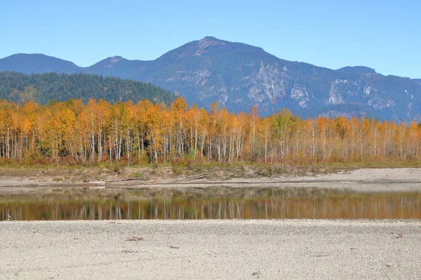 Colores Otoño Desierto Canadá Río Poco Profundo Que Refleja Los — Foto de Stock