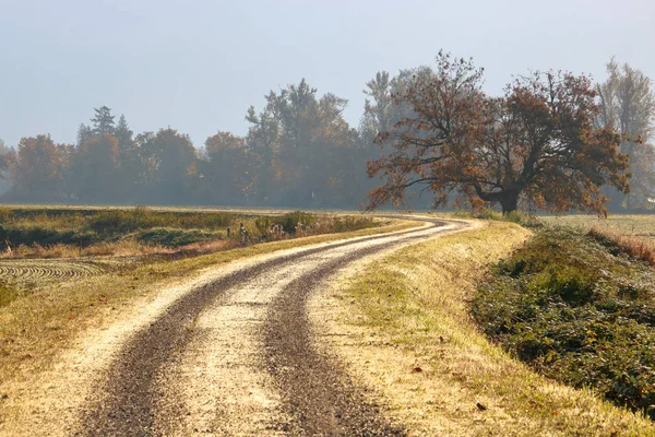 Landschaft Blick Auf Eine Kurvenreiche Einspurige Landstraße Für Landwirtschaftliche Fahrzeuge — Stockfoto