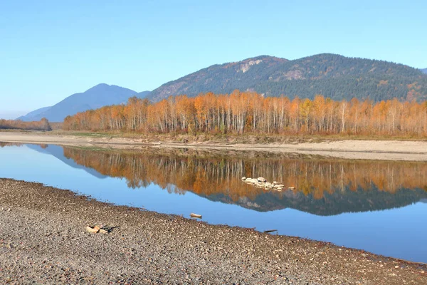 Västkusten Kanada Och Södra British Columbia Beskrivs Miljövänner Som Regnskogen — Stockfoto