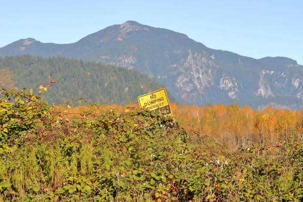 Panneau Règlement Municipal Informant Les Citoyens Aucun Déversement Est Autorisé — Photo