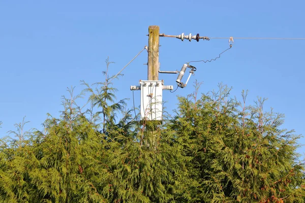 Hydro Electric Power Lines Dangerously Close Vegetation Could Create Hazard — Stock Photo, Image