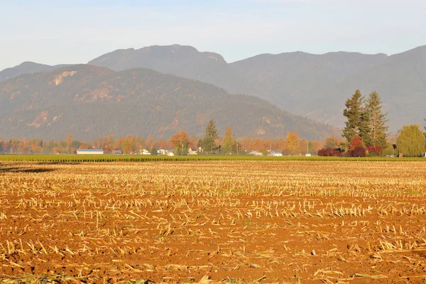 Breed Landschap Uitzicht Een Maïsveld Vers Geoogst Een Vallei Tijdens — Stockfoto