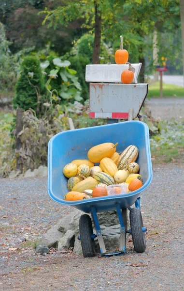 Eine Herbstliche Hofanlage Umarmt Die Jahreszeit Und Verleiht Dem Anwesen — Stockfoto