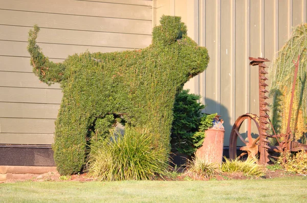 Landscaper Has Creative Flare Sense Humor Creating Hedgedog Out Shrubbery — Stock Photo, Image