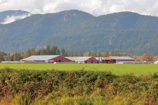 農場の建物や高レベルのマウンテン牧場で草地の景観 — ストック写真