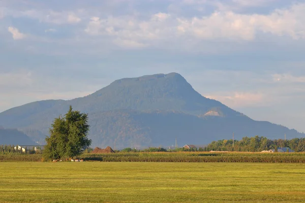 Grasland Vallei Van Fraser Brits Columbia Canada West Zuidkust — Stockfoto