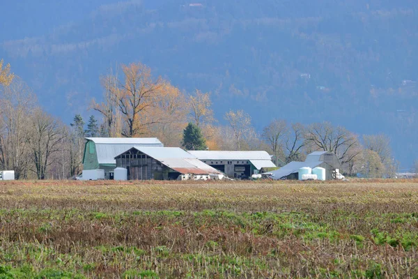 Paisaje Granja Rural Finales Otoño Después Cosechar Los Cultivos — Foto de Stock