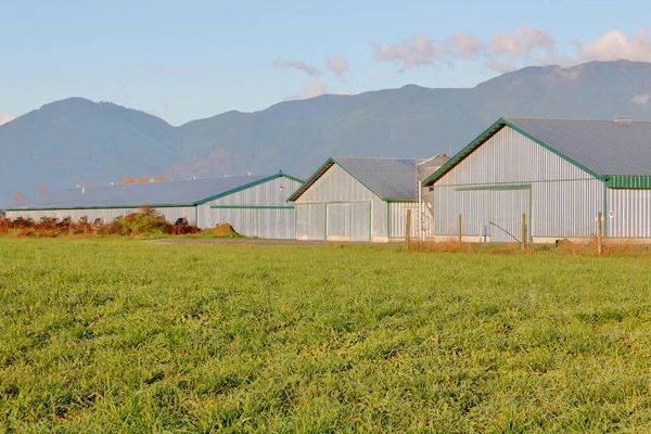 各种大小和形状的金属公用事业农场建筑 供储存和牲畜使用 — 图库照片