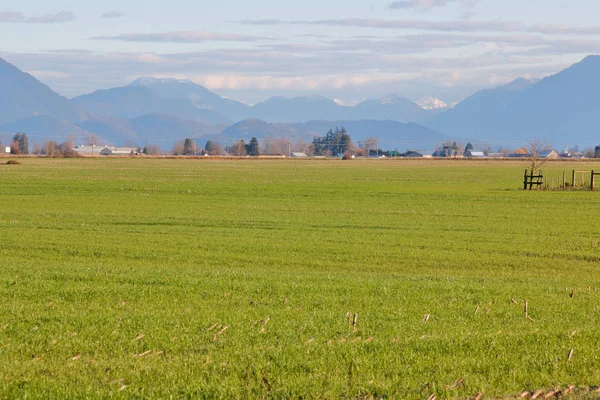 Vue Panoramique Paysagère Région Des Prairies Montagneuses Sud Colombie Britannique — Photo