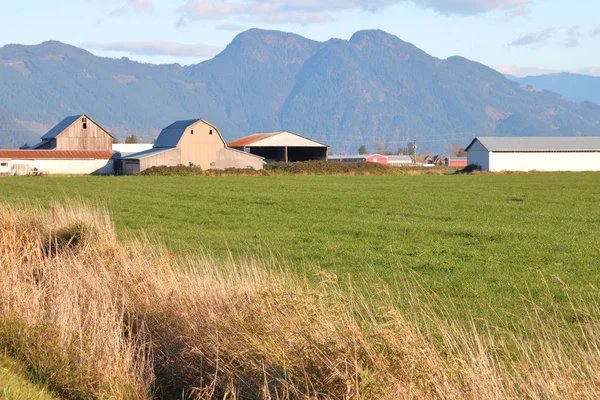 Liggande Landsbygdens Jordbruksmark Dal Som Inkluderar Traditionella Jordbruksbyggnader Och Gräsmark — Stockfoto