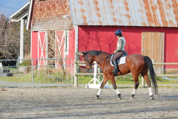 彼女が 2018 日に彼を演習チリワック カナダの尖塔の敷地内で乗馬ライダーと彼女の馬のビューをプロファイルします — ストック写真