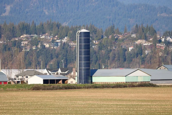 Ascensore Grani Alti Moderni Erge Come Faro Gruppo Edifici Agricoli — Foto Stock