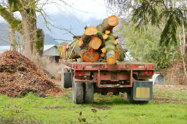 Vista Traseira Reboque Caminhão Madeira Estacionado Uma Fazenda Rural Com — Fotografia de Stock