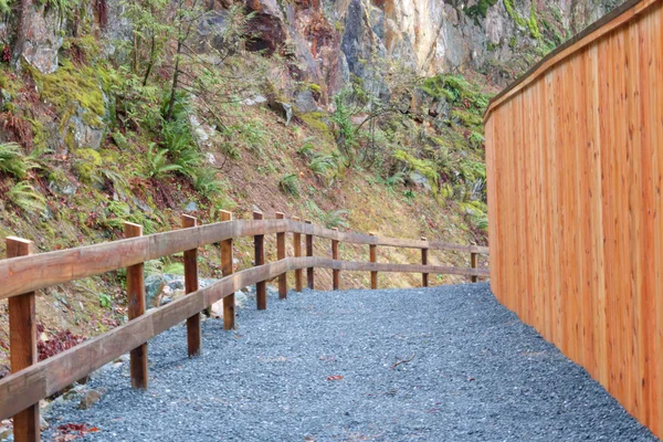 Pathway Examples Beautiful Cedar Fencing Lining Walkway Post Solid Board — Stock Photo, Image