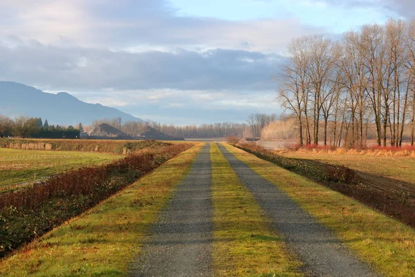 Tief Ländlichen Outback Schlängelt Sich Frühen Morgen Eine Einspurige Straße — Stockfoto