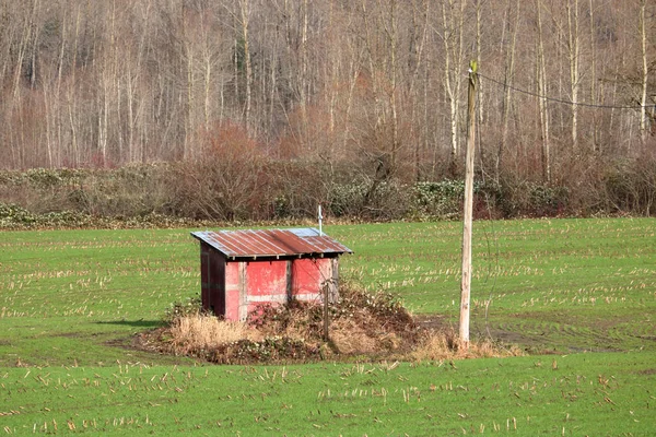 Liten Gård Verktyget Shack Mitten Jordbruksmark Där Energikälla Ger Ström — Stockfoto