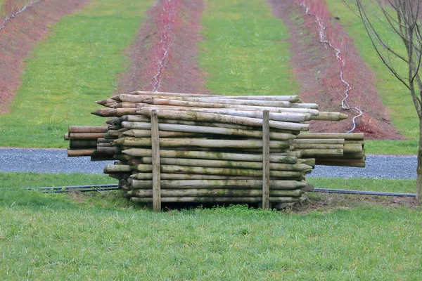 Ein Geschlossener Stapel Von Langen Holzpfählen Die Für Zäune Einem — Stockfoto