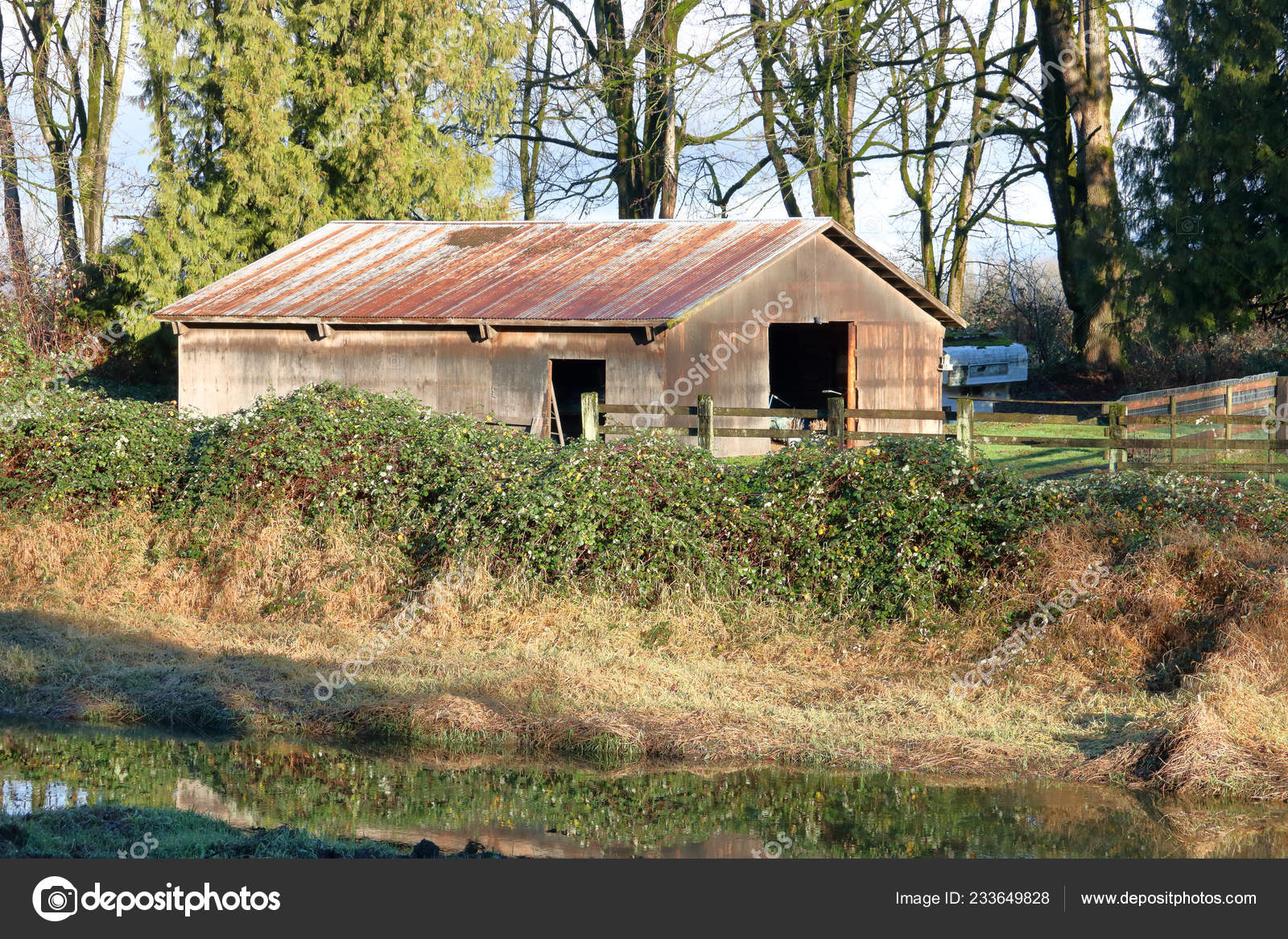 Neglected Unused Farm Building Surrounded Backwoods Vegetation — Stock  Photo © modfos #233649828, image size:1600x1167
