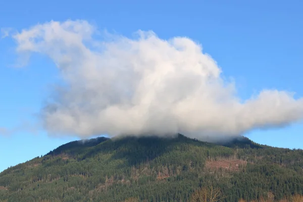 Uma Nuvem Pequena Branca Inchada Flutua Acima Uma Colina Arborizada — Fotografia de Stock