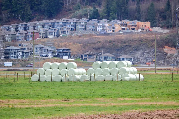 Les Balles Foin Sont Empilées Sur Terrain Herbeux Face Grand — Photo