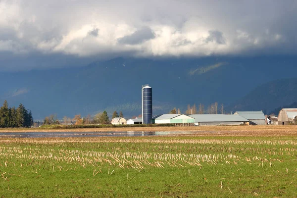 Silo Alto Preto Está Como Uma Palheta Meteorológica Enquanto Nuvens — Fotografia de Stock