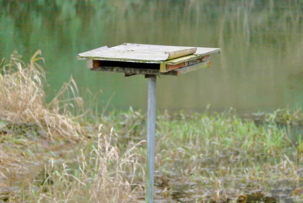 単純な男の表示を閉じるした湿地帯の横に置かれた野鳥の止まり木 — ストック写真