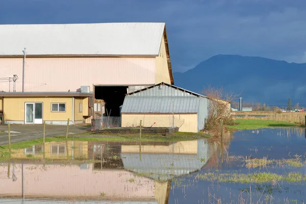 重い冬の雨および氾濫の田舎農家の庭や建物の余波 — ストック写真