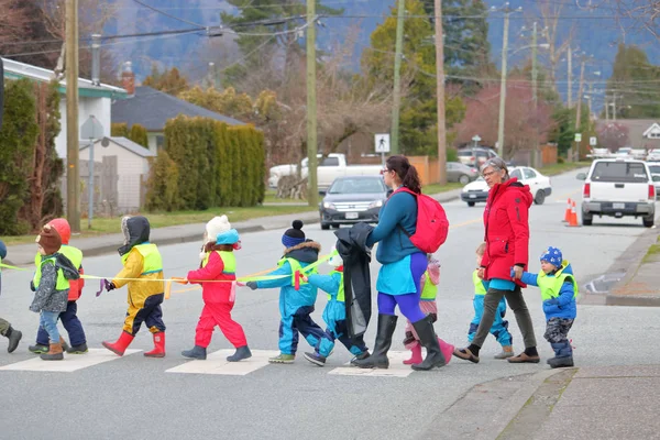 Дорослі Керівництво Дошкільнятам Через Пішохідний Перехід Використовуючи Лінію Безпеки Норвегія — стокове фото