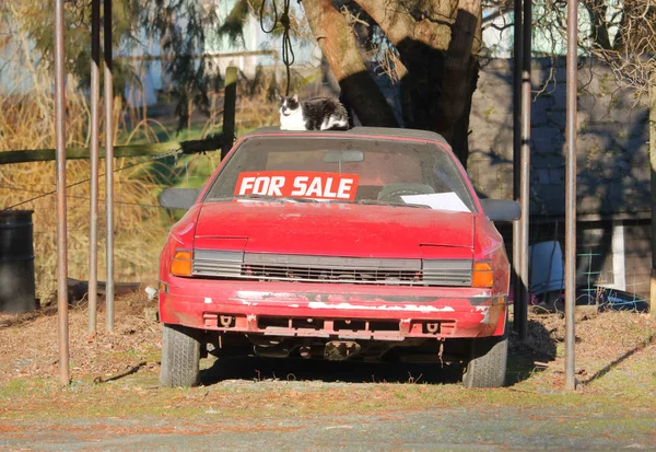 Vista Frontale Auto Sportiva Rossa Molto Usata Con Motore Che — Foto Stock