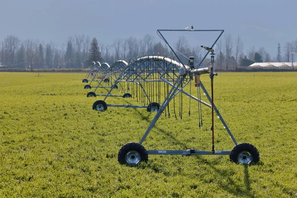 Système Irrigation Est Installé Sur Long Tapis Prairies Pour Fournir — Photo