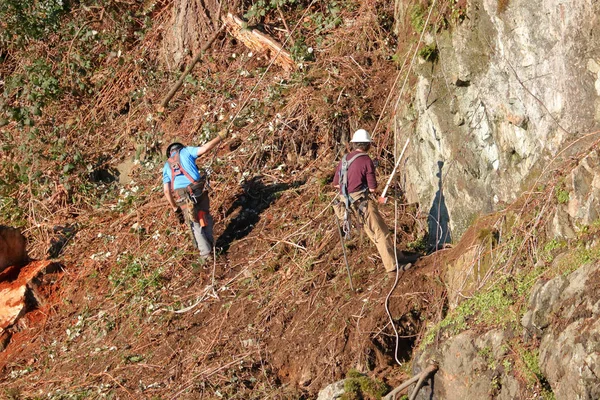 Landscapers Menggunakan Roda Pendakian Untuk Mendaki Lereng Batu Curam Yang — Stok Foto