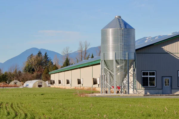 Ein Moderner Bauernhof Mit Einem Großen Gebäude Für Die Hühnerzucht — Stockfoto