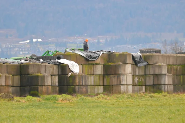 Trabalhador Agrícola Fica Cima Lajes Concreto Que Contêm Fertilizantes Agrícolas — Fotografia de Stock