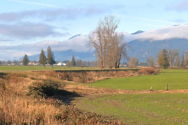 Breed Landschap Weergave Van Een Dijk Bescherming Van Agrarische Boerderij — Stockfoto