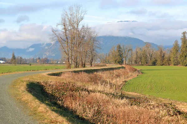 Detailed View Winding Dike Protecting Agricultural Farm Land Seen Winter — Stock Photo, Image