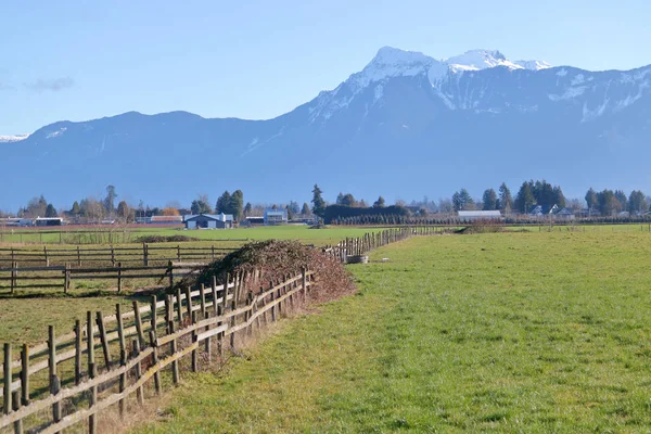 Ranch Grassland Foot Mount Cheam British Columbia South West Agricultural Royalty Free Stock Photos