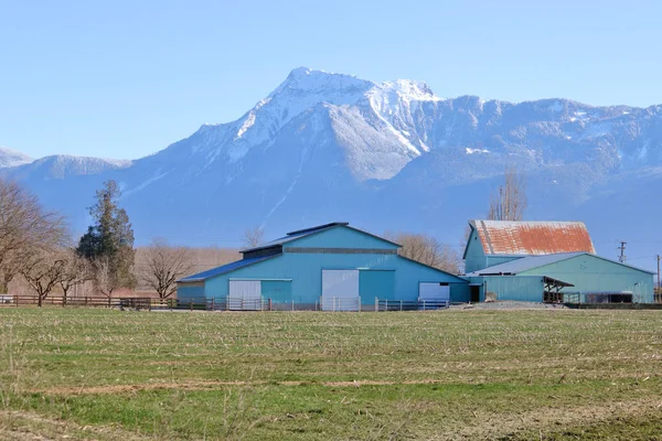 Farm Buildings Including Rustic Well Used Barn Stands Front Tall — Stock Photo, Image